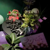 اجاره کنسول ps4 با قیمت فوق العاده