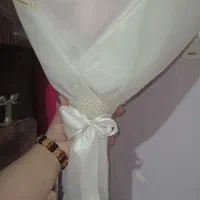 گل رز