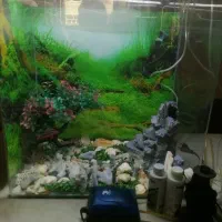 فروش آکواریوم
