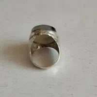 شجر|کلکسیون اشیاء عتیقه|بم, |دیوار