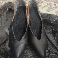 کفش مجلسی
