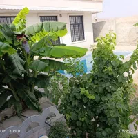 اجاره باغ ویلا