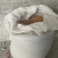 بذر سویا