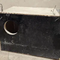 لونه پرنده