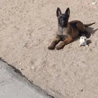 قیمت 25میلیون