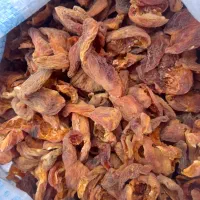 برکه زدالو تازه