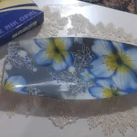ظرف همه کاره