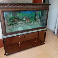 فروش اکواریوم