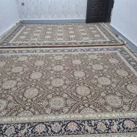 قالی|فرش|سوسنگرد, |دیوار