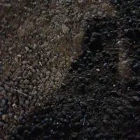 کود حیوانی گاوی گوسفندی خشک کیسه ای ۲۰۰هزارتومان