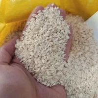 برنج عنبر اصل/ عمده خرده/ اردبیل