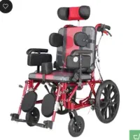 ویلچر برانکاردی تخت شو