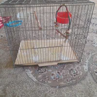 قفس پرنده