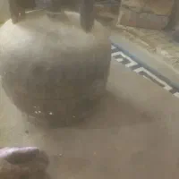 پکنیک