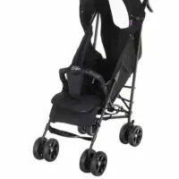 کالسکه دلیجان در حدنو