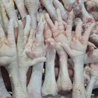 پای مرغ کشتار روز