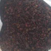 کشمش پاک شده افتابی