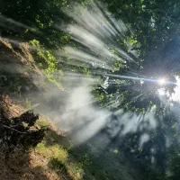 معاوضه زمین به زمین کشاورزی