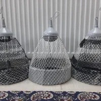 قفس پرنده