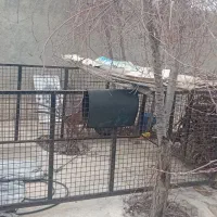 بچه باربند به ارتفاع ۱متر