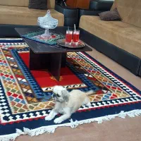 مبل ال