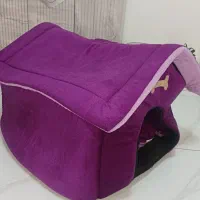 جای خواب سگ و گربه