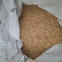 گندم|خوردنی و آشامیدنی|اصفهان, شیخ طوسی|دیوار