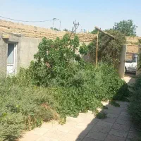 باغچه داخل بافت