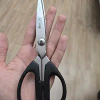 قیچی دالبری اصل ژاپن