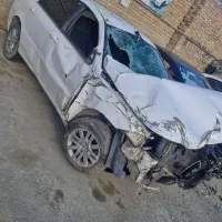 دنا تصادفی