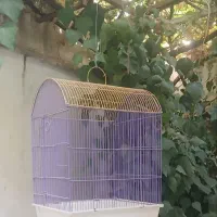 دو عدد قفس پرنده