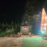 سرایدار خانم تنها