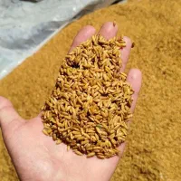 چلتوک لنجان سرخه درجه یک