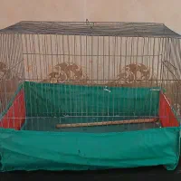 قفس پرنده