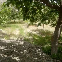 کارگرهستم آقا باغبانی صفرتاصد