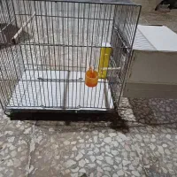 قفس پرنده همراه با لانه چوبی کنار قفس