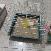 قفس خرگوش