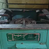 گاز|اجاق گاز و لوازم برقی پخت‌وپز|کرج, شاهین‌ویلا|دیوار