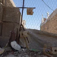 تعدادکفترپلاکی ورنگی