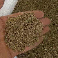 زیره درجه یک و اسیاب