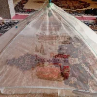 پشه بند