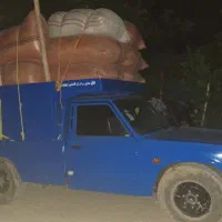 فروش کاه عدس