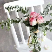 پرستار سالمند خانم