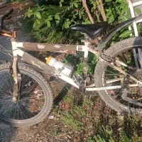 دوچرخه حرفه ای/کوهستانی 26