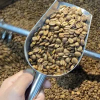فروش قهوه گلد و دان قهوه لوکس با کیفیت تضمینی