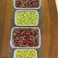 ظرف غدا|ظروف نگهدارنده، پلاستیکی، یکبارمصرف|اراک, |دیوار