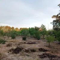۲۷۰۰متر سند تک برگ عرصه و عیان