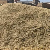 یونجه خرمنکوبی درجه یک