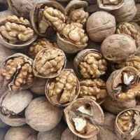 گردو‌/مغزگردو/مغز/خشکبار|خوردنی و آشامیدنی|تهران, اباذر|دیوار