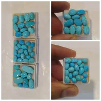 فیروزه عجمی شکوفه پاک پاک تکی و کلی